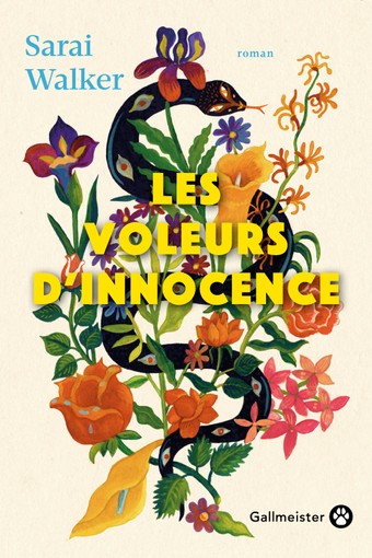 Voleurs dinnocence